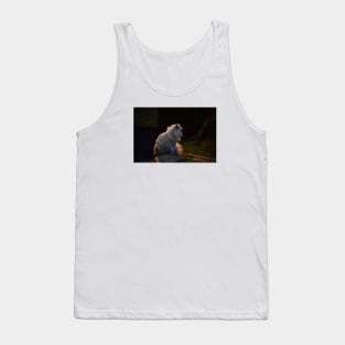 Persian cat / Swiss Artwork Photography Tank Top